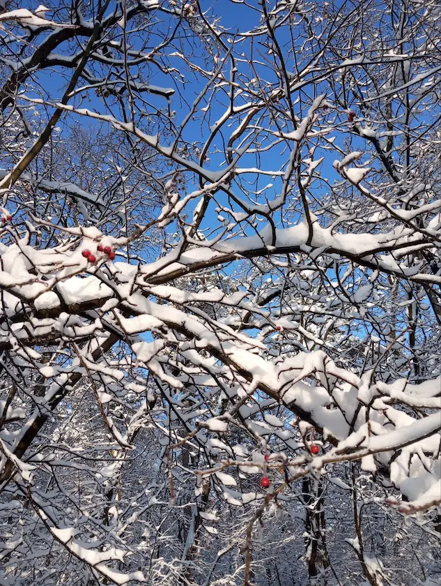 Gender-sensitive snow clearance