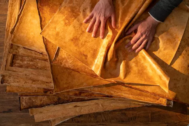 mycelium leather