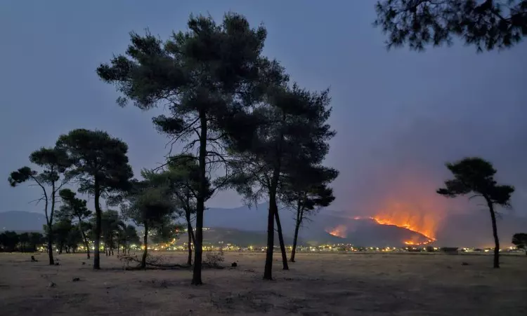 wildfire near Podgorica
