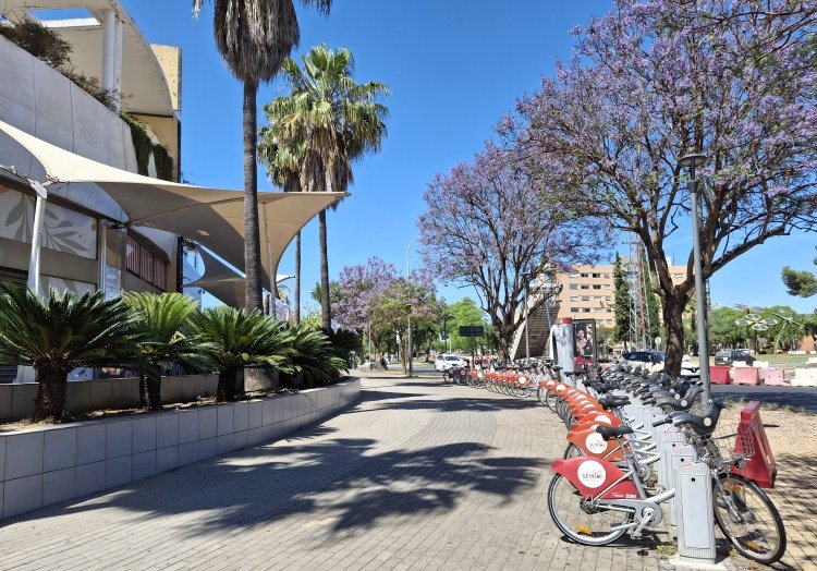 bicycle parking in Seville