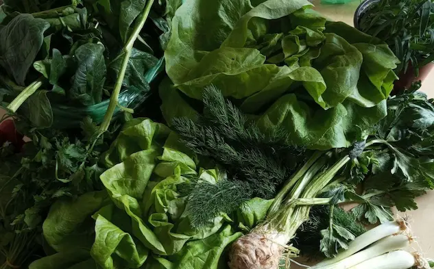 sustainable food systems