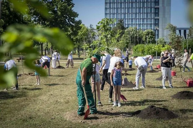 urban-tree-planting-a-community-solution-for-healthier-cities